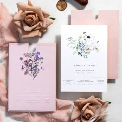 Nessuna immagine impostata 